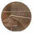 Adaptive Structures Medal